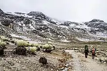 Alpine tundra climate in Sierra de La Culata