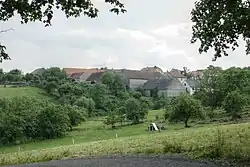 Houses in Velká Buková