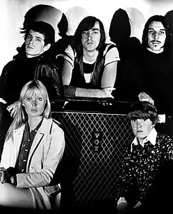 The Velvet Underground and Nico in 1966Clockwise from top left: Lou Reed, Sterling Morrison, John Cale, Moe Tucker and Nico