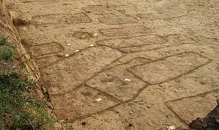 Gräber vor der vollständigen Ausgrabung. Die Verfärbungen im Grund zeigen die Lage der einzelnen Gräber an. Alamannisches Reihengräberfeld im Gewann Behans, bei Sasbach am Rhein. Datierung der Gräber 6./7. Jahrhundert