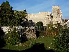 Ruins of the chateau