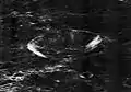 Oblique Lunar Orbiter 1 view of Vesalius M