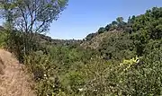 View from Rhus Ridge Trail, of the watershed of a branch, looking toward the main stem