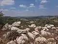 View looking north from ruin