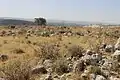 General view of ruins at Khurbet Zanua (Zanoah)