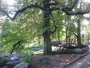 View on Park Casimir Bydgoszcz