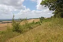 The North Downs above Hollingbourne.