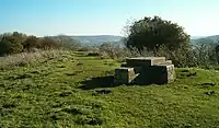 Viewpoint on Walton Hill