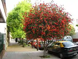 View of Calle Cortina in Villa Real