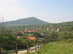 Viticulture near Villány