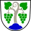 Coat of arms of Municipality of Vipava