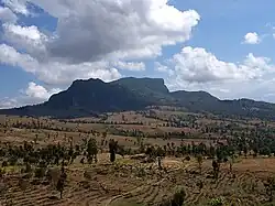 Rice fields in Viqueque