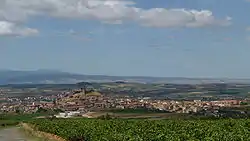 Skyline of San Vicente de la Sonsierra