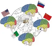 visual word form area (VWFA) is a functional region of the left fusiform gyrus and surrounding cortex that is hypothesized to be involved in identifying words and letters from lower-level shape images, prior to association with phonology or semantics