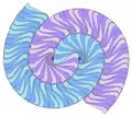 The Voderberg tiling, a spiral, monohedral tiling made of enneagons