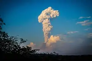 Image 23Colima Volcano eruption column, December 2016 (from Decade Volcanoes)