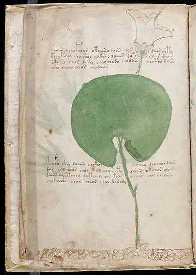 Page six of the Voynich Manuscript.