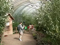 Butterflies and Blooms exhibit