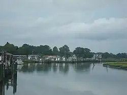 Sea marsh and fishing boats in Wachapreague