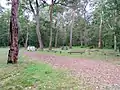 camping ground at Wadbilliga National Park