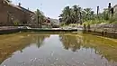 The 'Sultan's Gardens' in the Wadi Asimah is an area of year-round water, unusual in the wadis of the Hajar Mountains