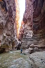 Siq in Wadi Mujib, Jordan