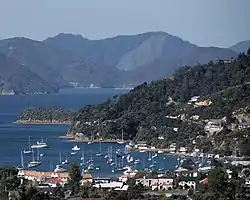 Waikawa Bay and marina