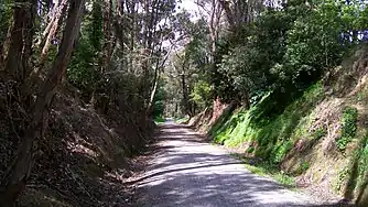 Warburton rail trail, Mount Evelyn