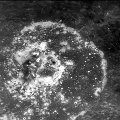 Abundant hollows on the floor of Warhol crater