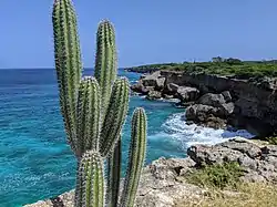 View from Cliff Villa Peninsula north of Watamula