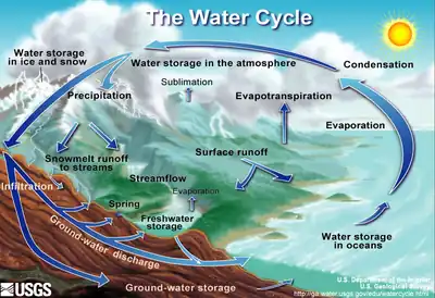 Image 20The water cycle