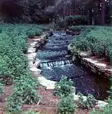 A cascading waterway at Hodges Gardens