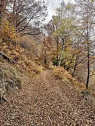 Picture representing the way up to Monte Piambello (Autumn 2020)