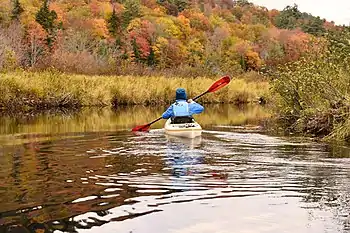 A kayaker during fall foliage on the W. Branch of the Sacandaga River, Adirondack Mountains, New York State.