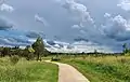 Walking path near Lizard Log