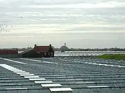 Greenhouses near 's-Gravenzande