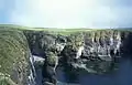 Cliffs at Noup Head