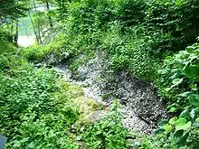 A gully running through the midden to the Damariscotta River.