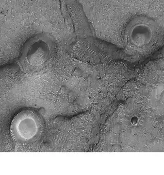 Craters with white centers in Mare Acidalium.  Sand dunes are visible in low areas in image.  Some of the features may be mud volcanoes.  Picture taken by Mars Global Surveyor under the MOC Public Targeting Program.