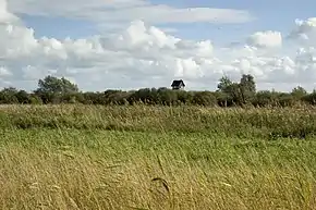 Image 4Wicken Fen, England. Grasses in the foreground are typical of a fen. (from Fen)