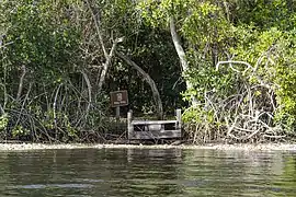 Willy Willy - a campsite on a shell mound