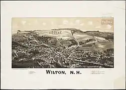 Wilton in 1880