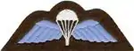 Wings badge