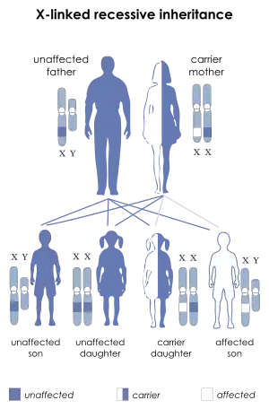 X-link recessive inheritance