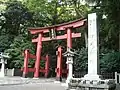 Torii