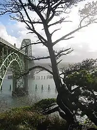 Image 4Engineer Conde McCullough designed many of Oregon's bridges, including the Yaquina Bay Bridge in Newport. (from History of Oregon)