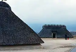 Two simple houses with thatched roofs almost going down to the ground.