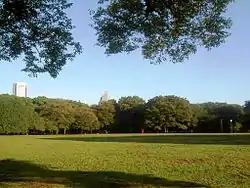 Yoyogi Park