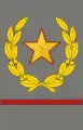 Sleeve insignia of the rank of Marshal of Yugoslavia from the  National Liberation War, used 1943–1946.