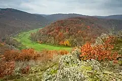 A meander of a river and forests